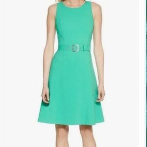 White House Black Market julip/mint green belted fit and flare dress.